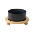 Havniva Ceramic Elevated Pet Bowl & Stand — 6" Tilted Dish for Cats & Small Dogs