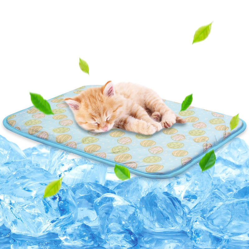 Small Dog Road Trip Packing List: Water, Feeding, Cooling, and Comfort Essentials