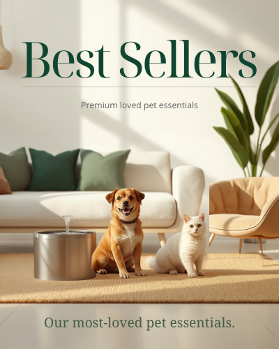 Best Sellers