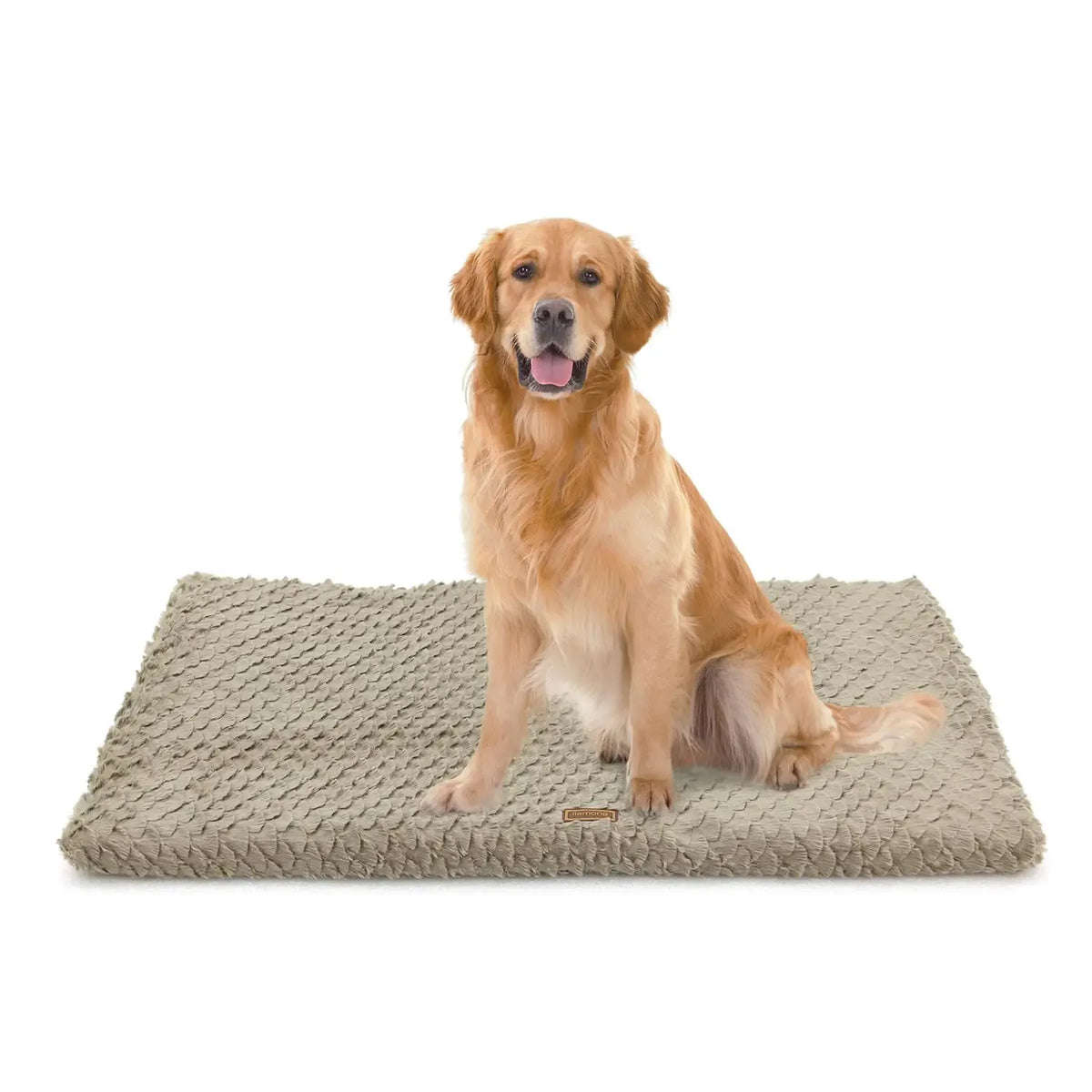 Outdoor dog bed on a covered porch