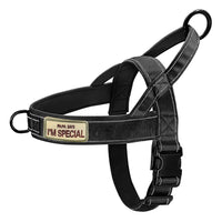 Adjustment points on the no-pull dog harness