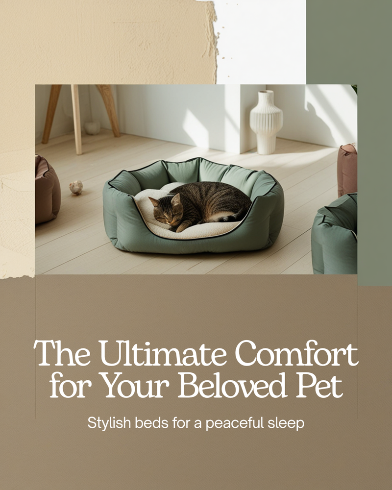 Beds & Comfort