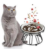 Wide shallow tilted dish keeps whiskers clear