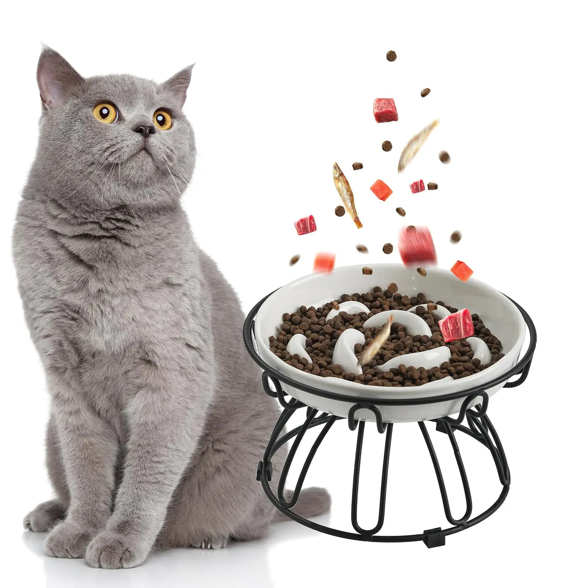 Tilted angle of the elevated cat feeder