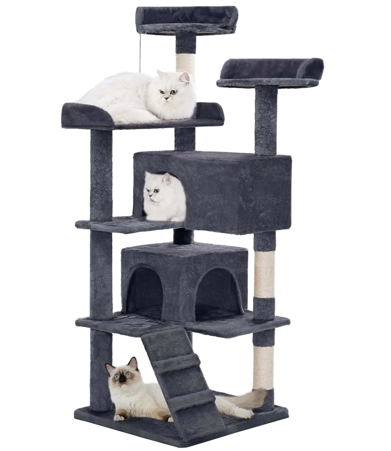 Cat using the tower hammock