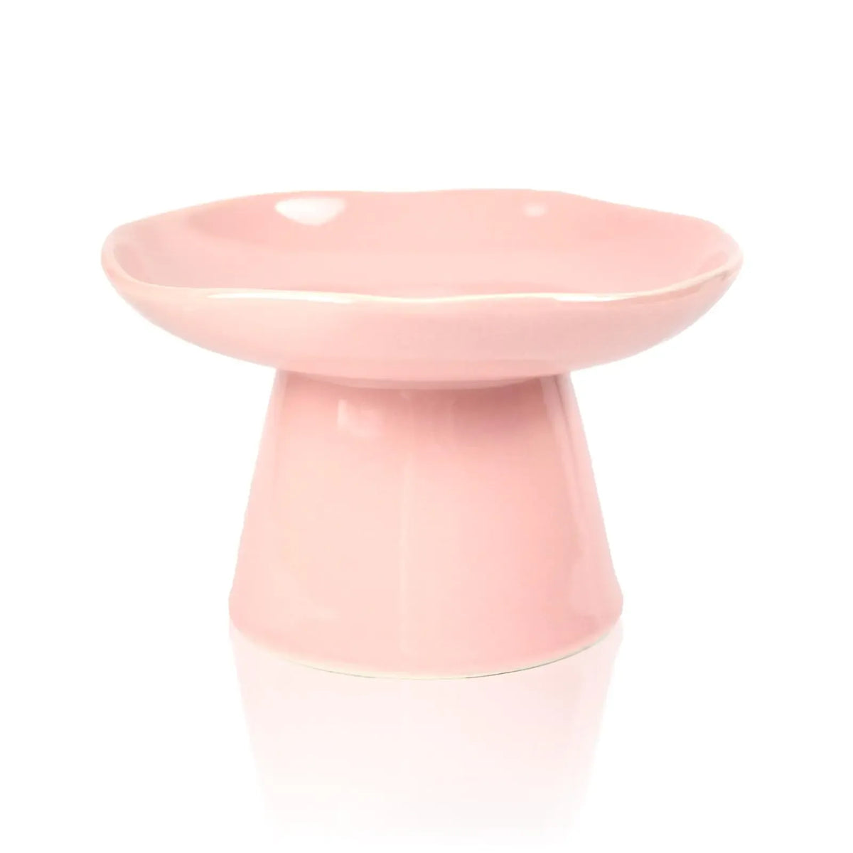 Cat eating slowly from the ridged ceramic dish