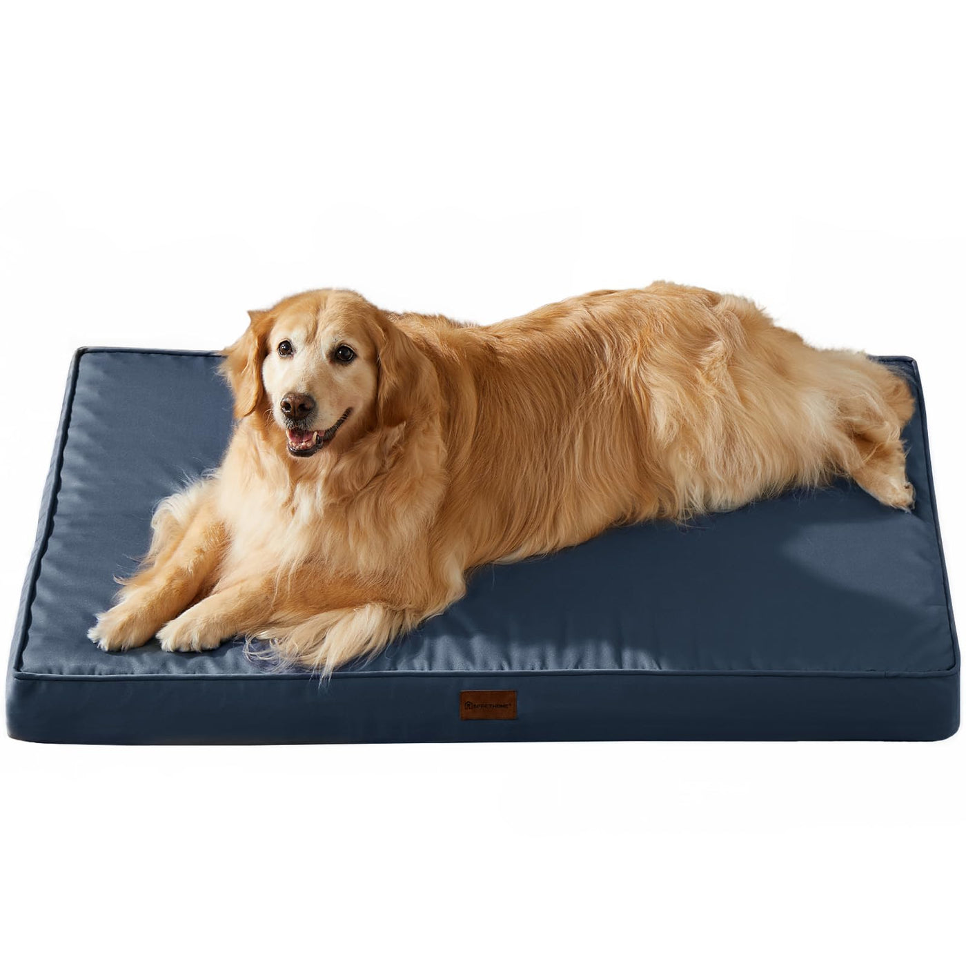 BFPETHOME Waterproof Outdoor Dog Bed — 36"×27" Egg-Crate Foam with Washable Cover