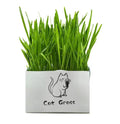 Organic Cat Grass