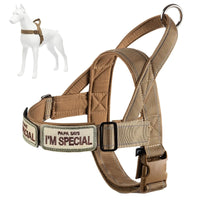 H-strap escape-proof harness design shown on a dog