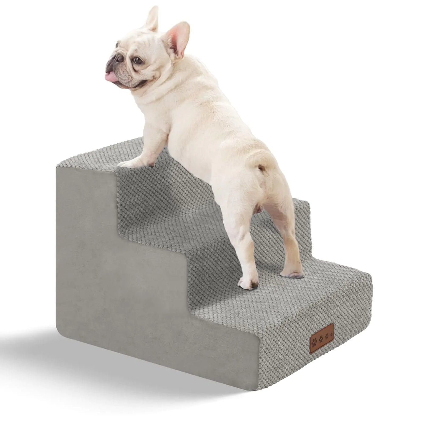 Small dog walking down the pet stairs from a bed