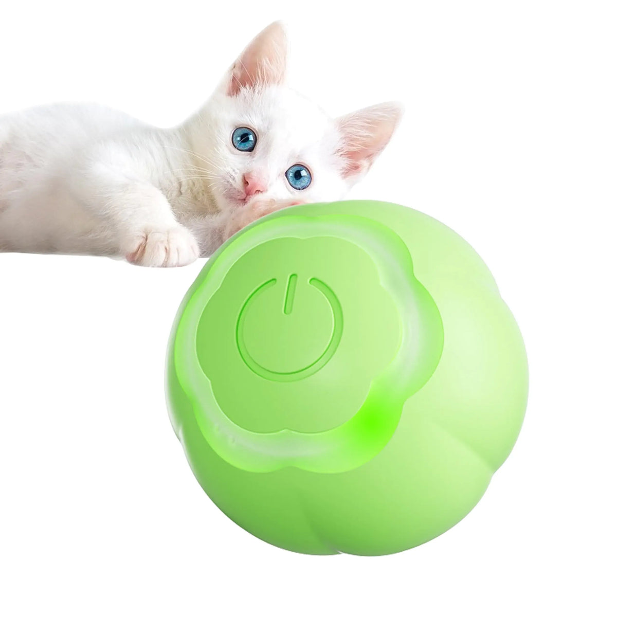 Cat chasing the self-rolling ball on a hard floor