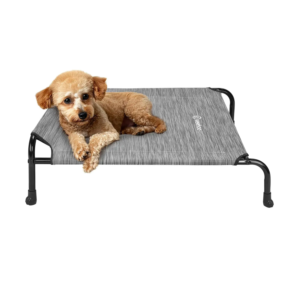 Steel frame construction of the heavy-duty dog cot