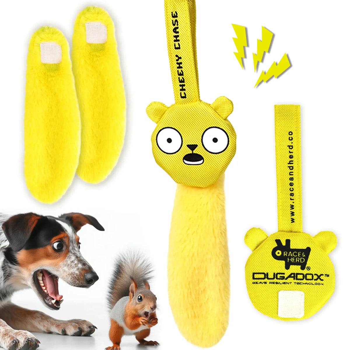 Extendable Dog Flirt Pole