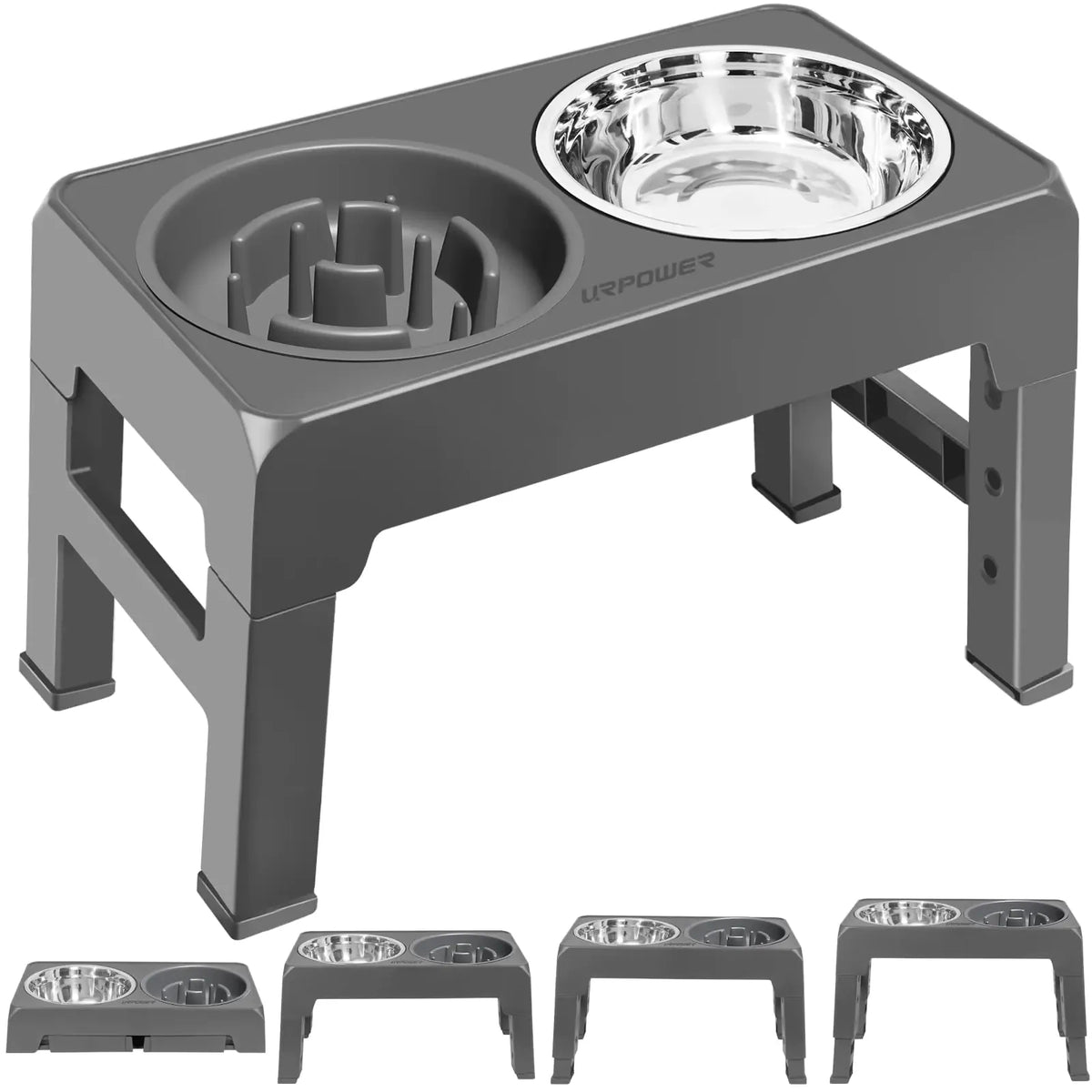 Dog eating from the elevated bowl stand standing square