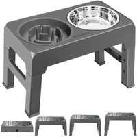 Dog eating from the elevated bowl stand standing square
