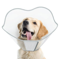 Soft Dog Recovery Cone