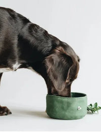 Folding Dog Bowl