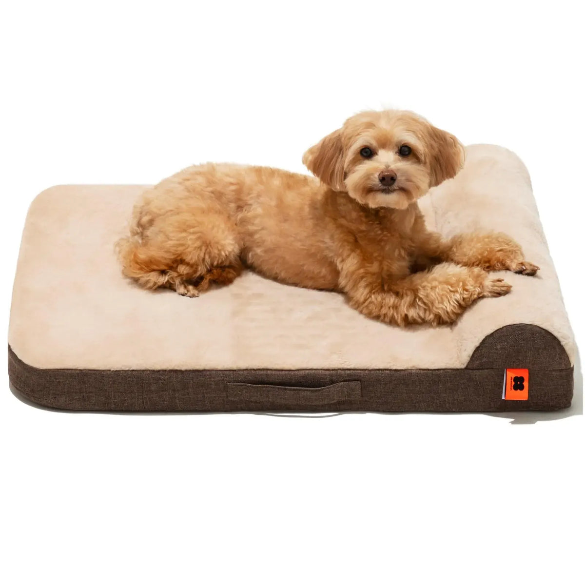 Corduroy fabric texture of the XL dog bed