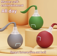 Smart Interactive Cat Toy Ball — Self-Moving with Bird Sounds &amp; Auto Shut-Off