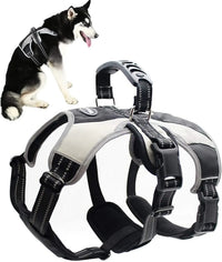 Top control handle on the escape-proof harness