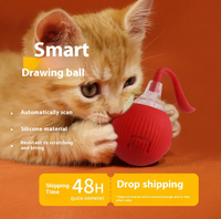 Smart Interactive Cat Toy Ball — Self-Moving with Bird Sounds &amp; Auto Shut-Off