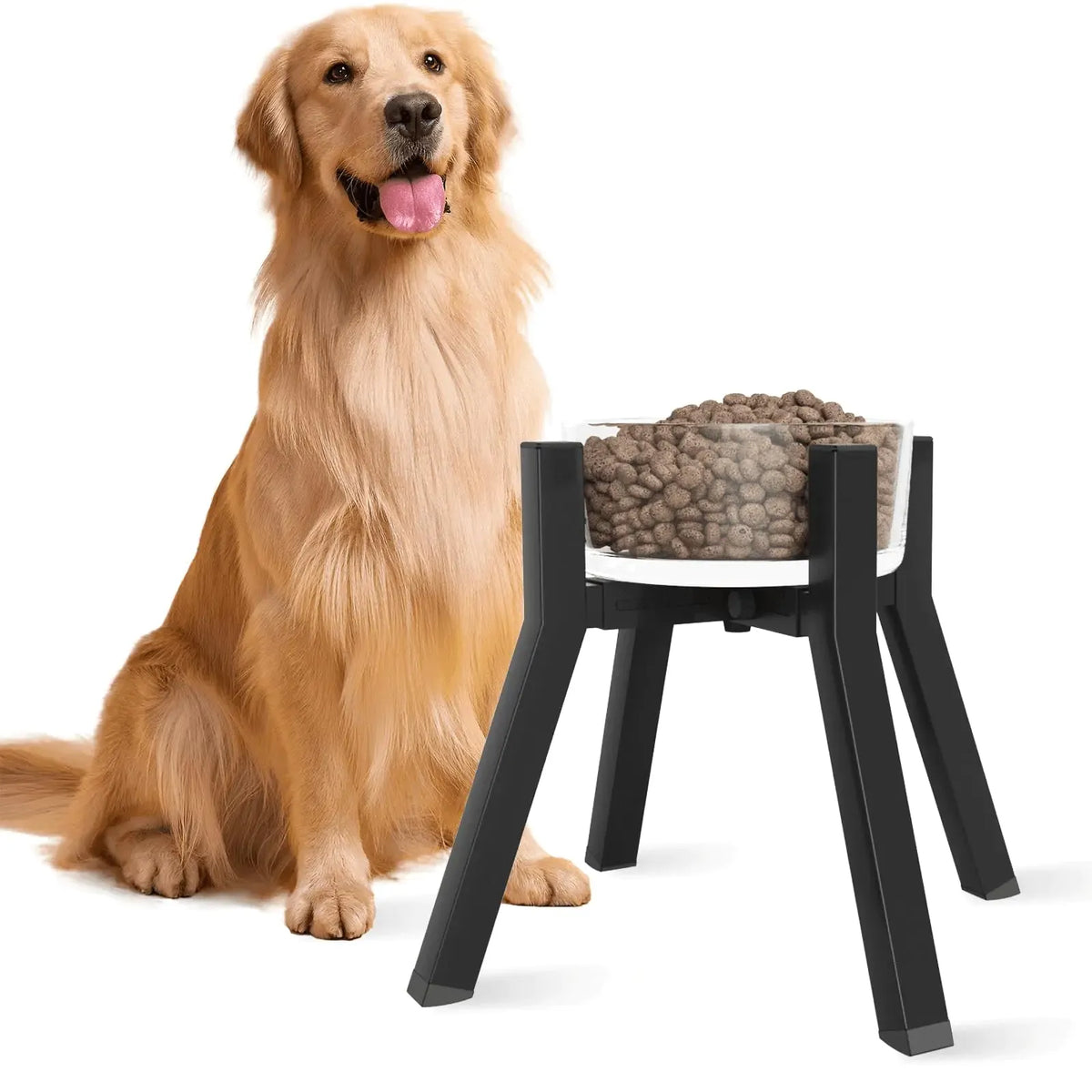 moinmoly elevated dog bowl stand — five heights from 10.3 to 17.6 inches