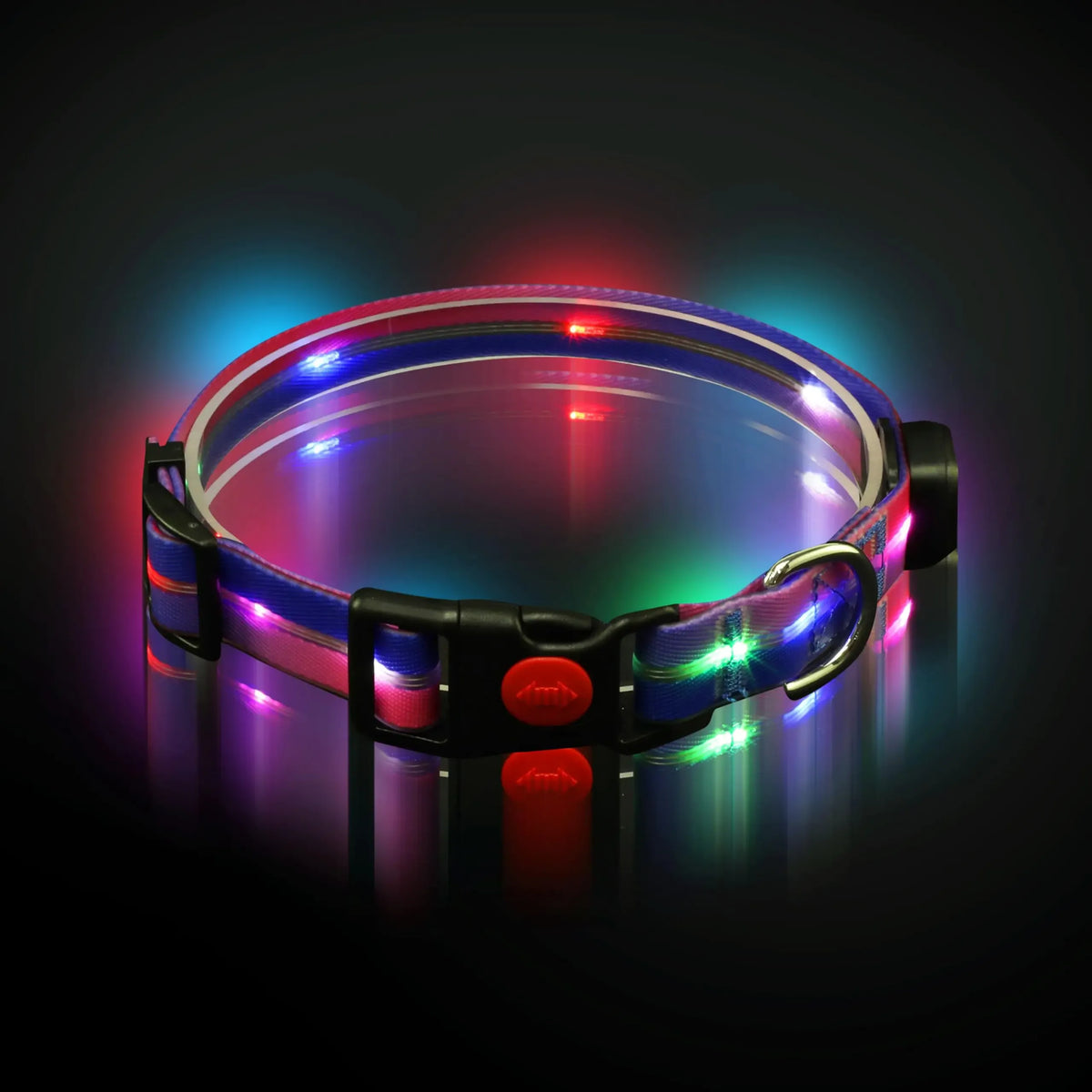 LED Dog Collar