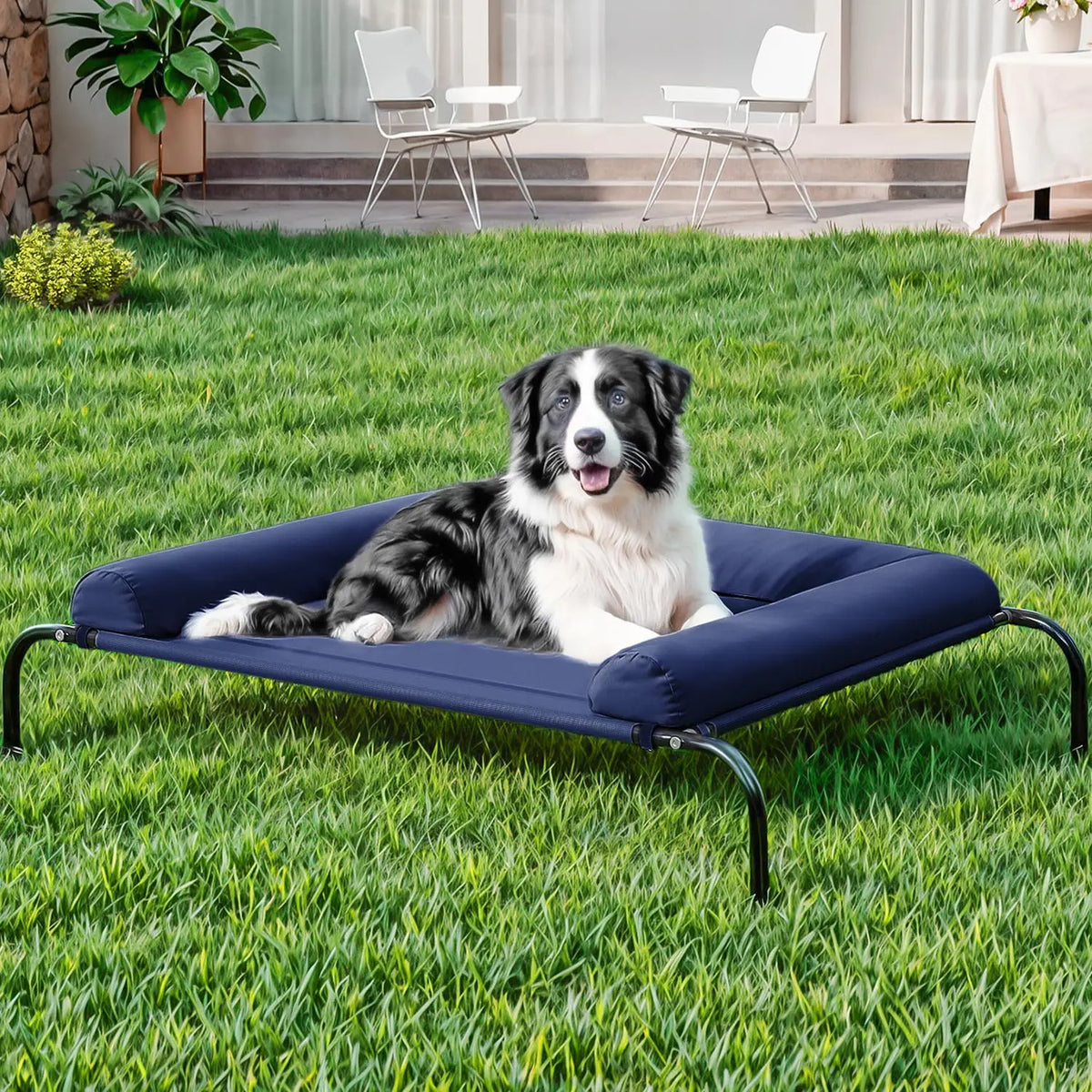 XL raised dog cot dimensions — 48.8 by 35.8 inches