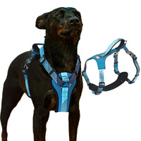 Neoman Escape-Proof No-Pull Dog Harness — Padded H-Strap with Handle & Reflective Trim