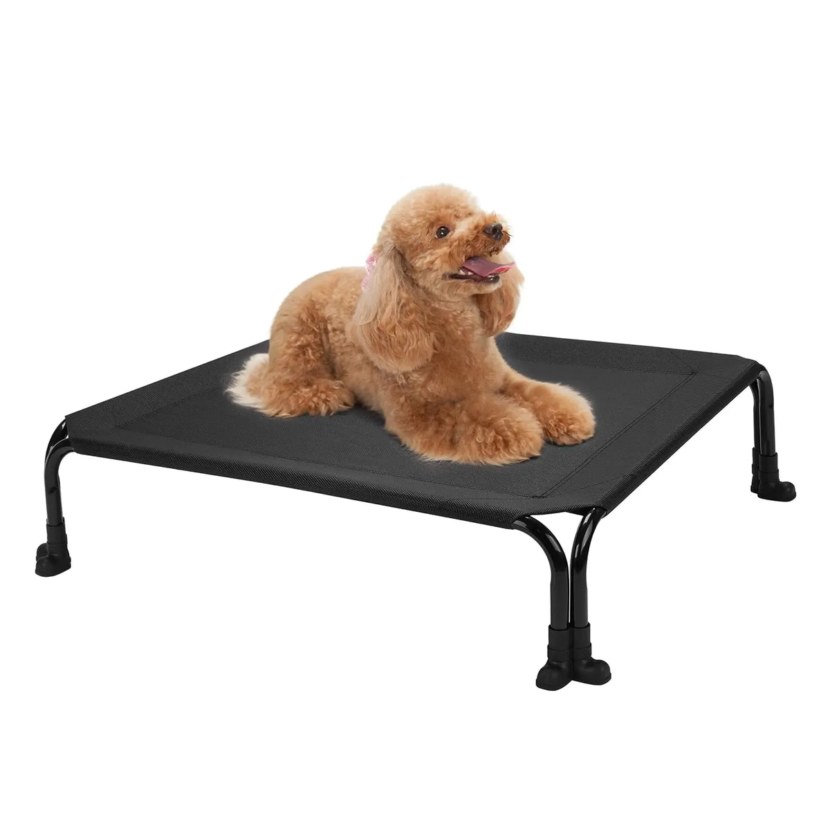Dog lying on the elevated cooling dog bed