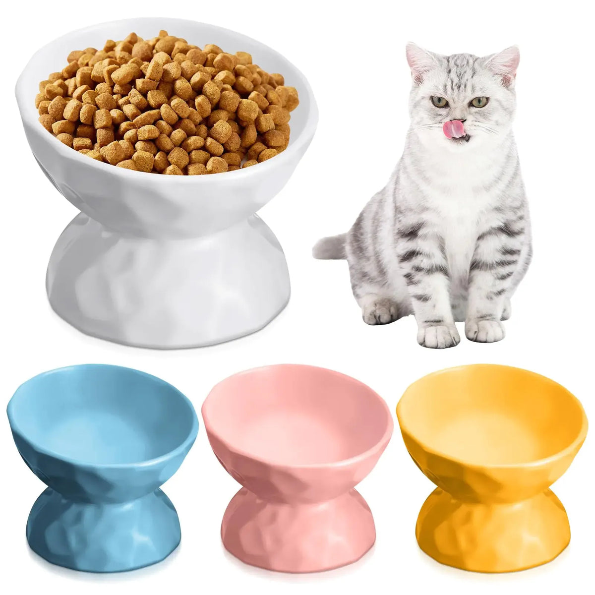 Cat eating from the tilted raised ceramic dish
