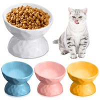 Cat eating from the tilted raised ceramic dish
