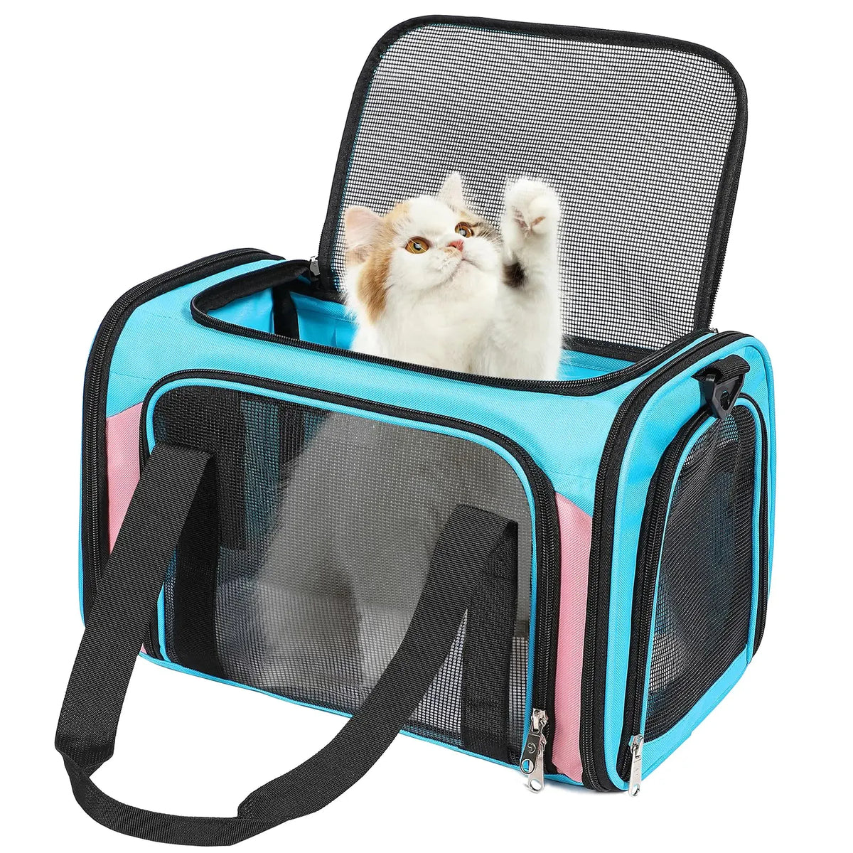 Cat inside the airline-compliant travel carrier