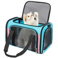 Cat inside the airline-compliant travel carrier