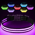 LED Light Up Dog Collar — USB Rechargeable Night Safety Collar