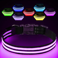 Light Up Dog CollarLED Dog Collar Light RechargeableGlow in The Dark Dog Collar WaterproofAdjustable Lighted Dog Collar for Small Medium Large DogsBlackS ChicFind