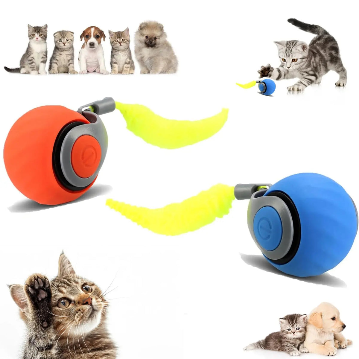 2PCS Speedy Tail 2.0 Speedy Tail cat toy 2025 new generation interactive cat toy USB rechargeable smart cat toy ball two-speed adjustment automatic cat toy ball with tail (orange + blue) ChicFind