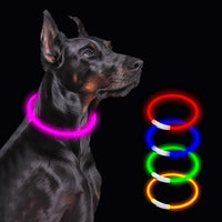 LED Dog Collar