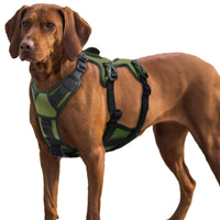 Neoprene padding under the harness straps