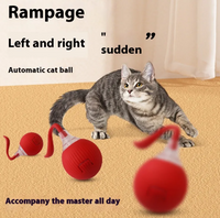 Smart Interactive Cat Toy Ball — Self-Moving with Bird Sounds &amp; Auto Shut-Off