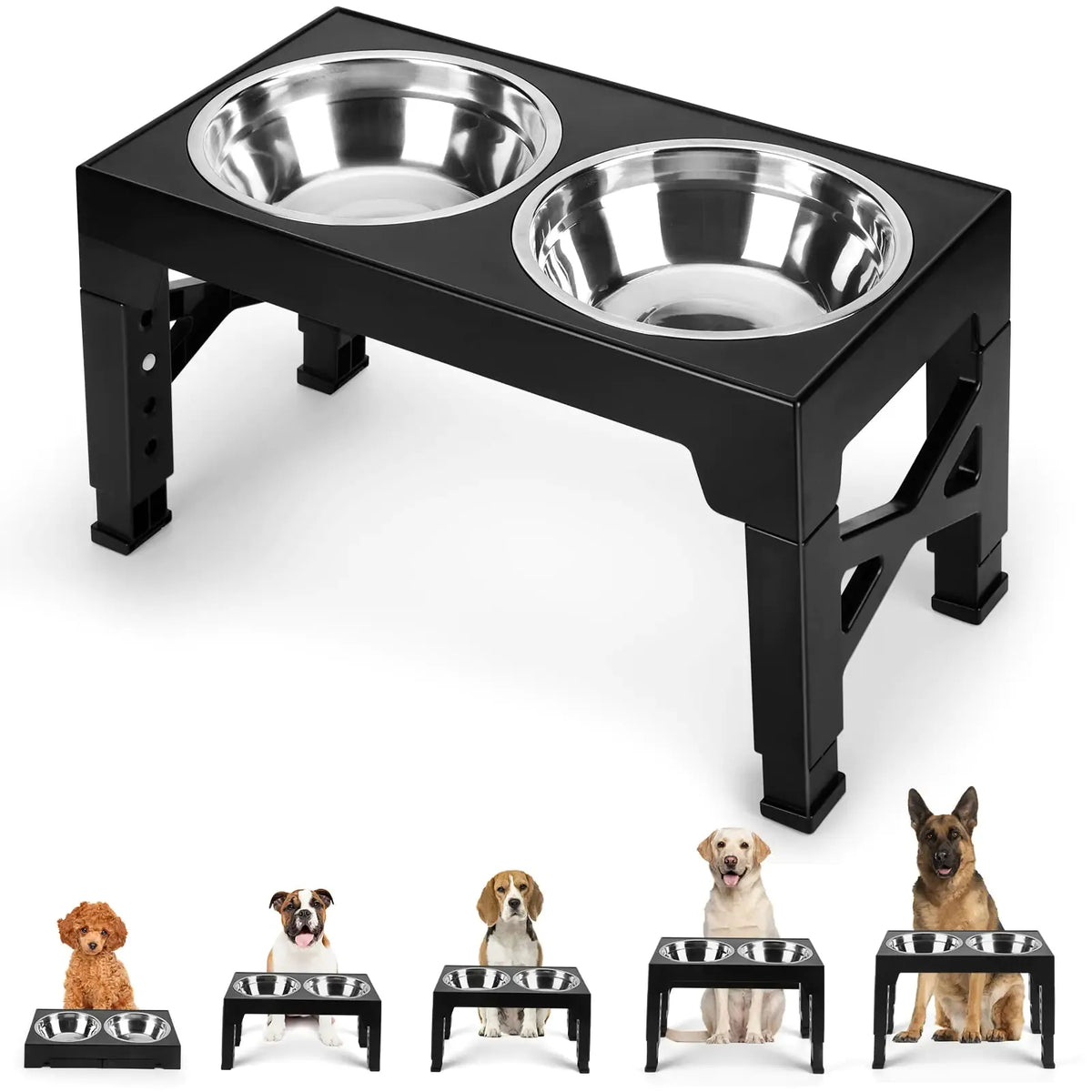 Large dog eating from the raised stainless bowls
