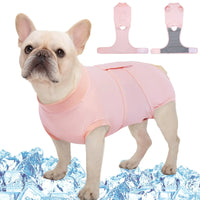 Dog Soft Recovery Suit