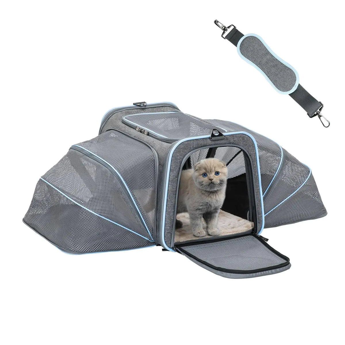 Shoulder strap and handles on the pet carrier
