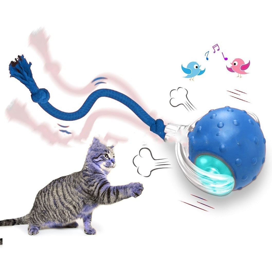 Smart Interactive Cat Toy Ball — Self-Moving with Bird Sounds &amp; Auto Shut-Off