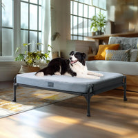 Elevated dog bed used outdoors on a patio