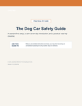 Free Dog Car Safety Guide - Instant PDF Download