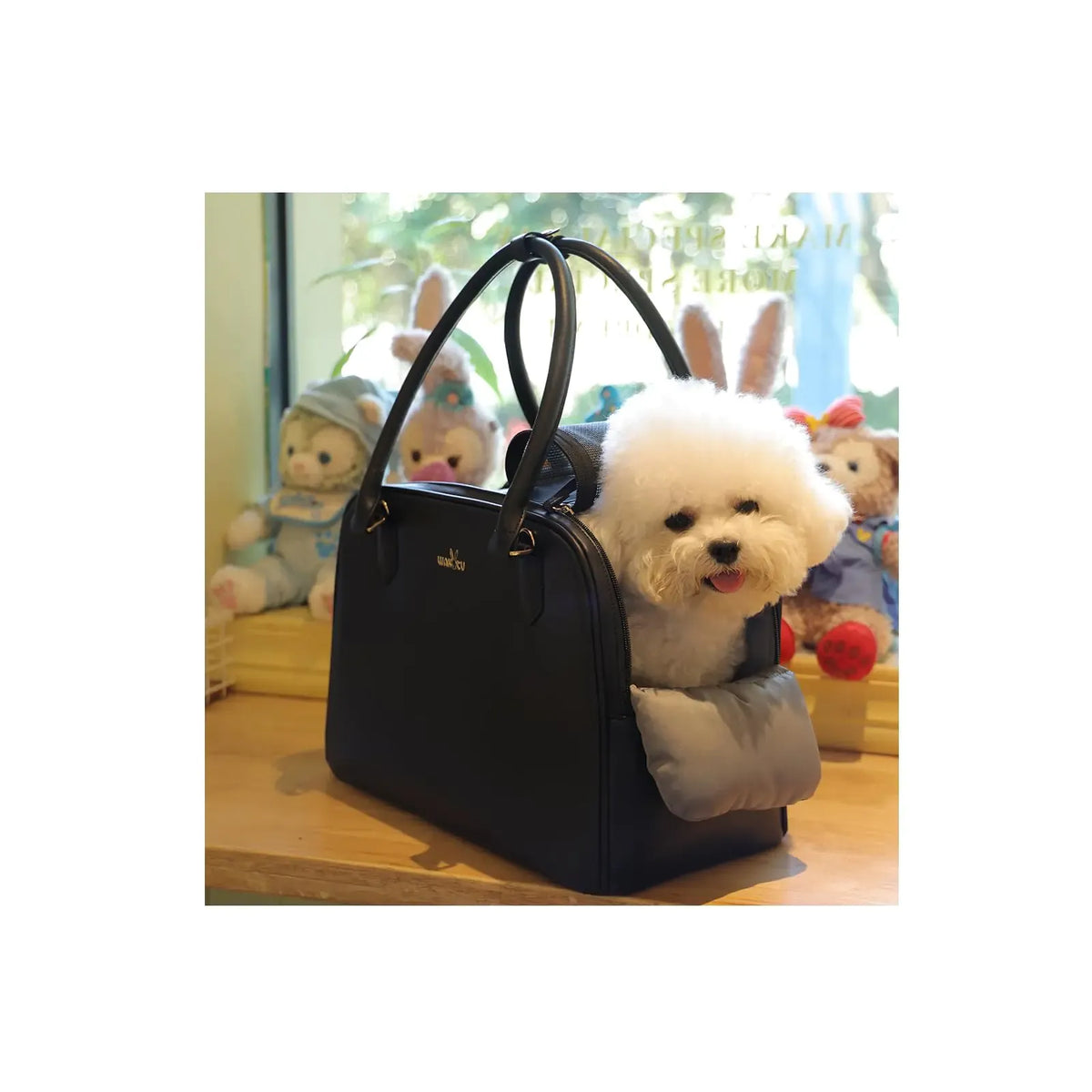 Removable washable base pad inside the carrier