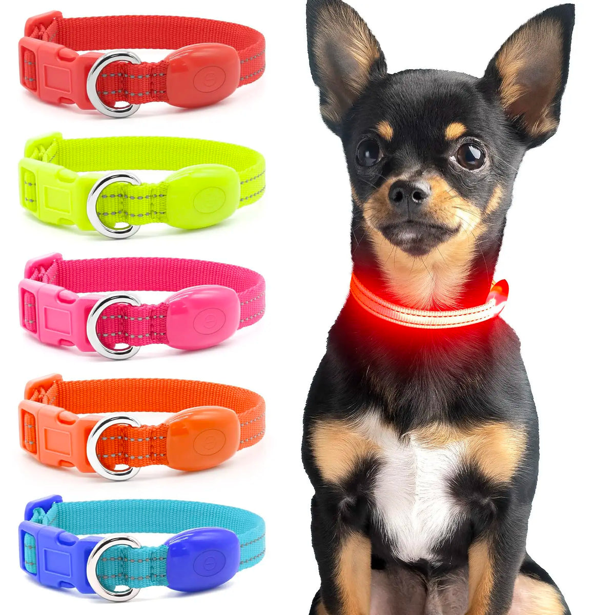 LED Dog Collar