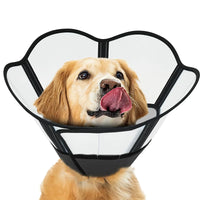 Soft Dog Recovery Cone