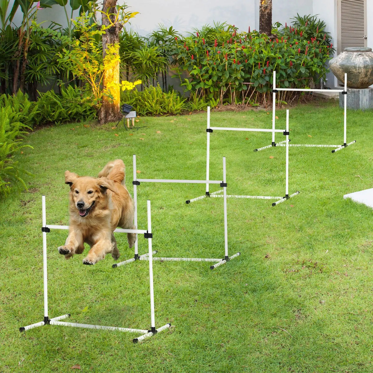 Dog Agility Training Set 4pc